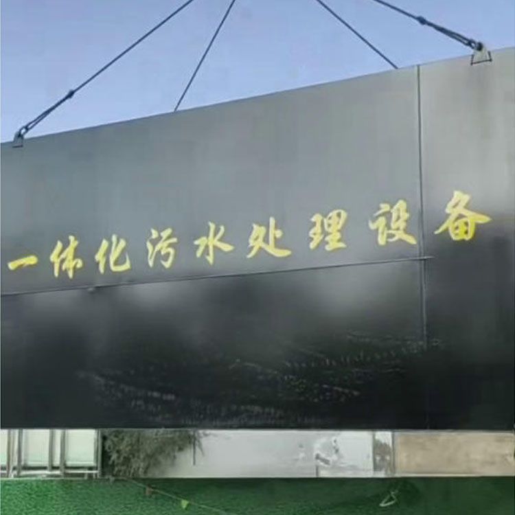 青海省海東市樂都區洪水鎮衛生院6-2.5-3米一體化污水處理設備到貨吊裝就位