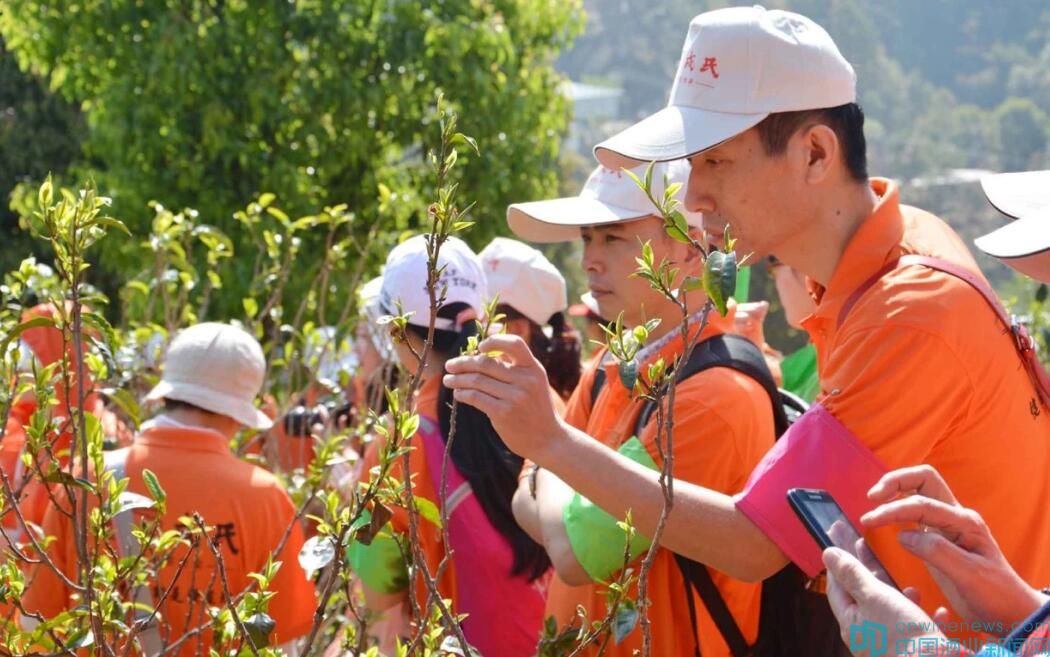 聨烊质铣掷m(xù)20年輔導(dǎo)茶農(nóng),創(chuàng)新“公司+基地+協(xié)會+農(nóng)戶”的合作模式,為茶農(nóng)提供種植、管護(hù)、采摘等技術(shù)培訓(xùn),教會茶農(nóng)用生態(tài)的方法種植和管理茶園,在雙江建檔立卡戶有2165戶,輻射帶動雙江縣6個鄉(xiāng)(鎮(zhèn)),有效帶動了雙江縣貧困茶農(nóng)增收。
![